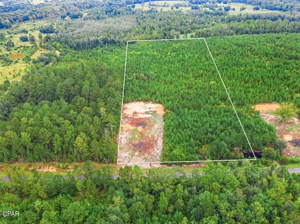 LOT 1 Reddick Mill Rd, Graceville, FL 32440