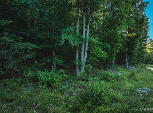 0 Aldrich Valley Rd, Van Buren, MO 63965