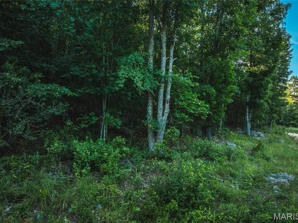 0 Aldrich Valley Rd, Van Buren, MO 63965