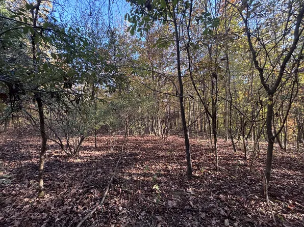 0 Jamie Dr, Centerville, TN 37033