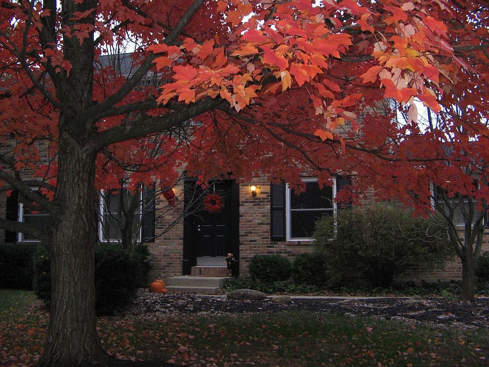 1st image of 3827 Saddlebrook Ct