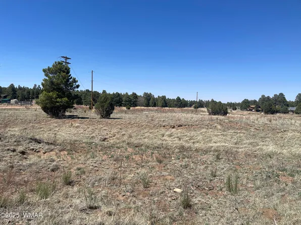 2278 Meadow Ln, Overgaard, AZ 85933
