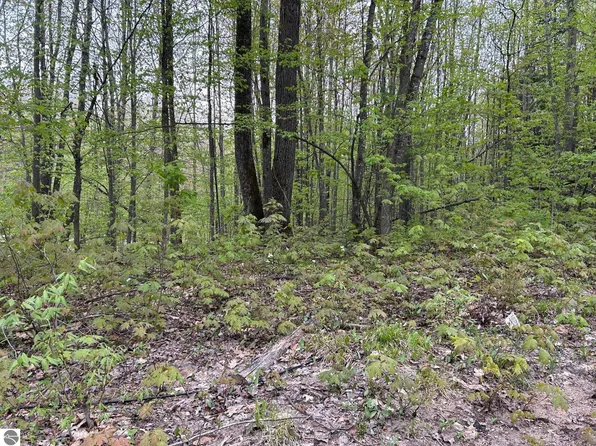 Lost Lake Rd, Beulah, MI 49617