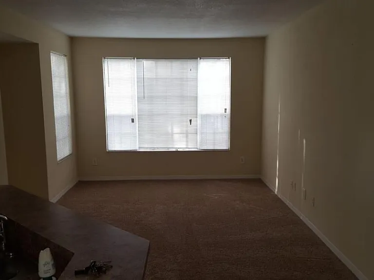 13700 Richmond Park Dr N #3403 — Photo 19