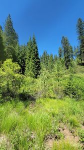 95 Tbd Hwy, Council, ID, 83612