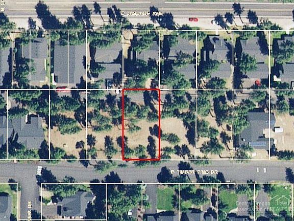 3rd image of 956 Timber Pine Dr