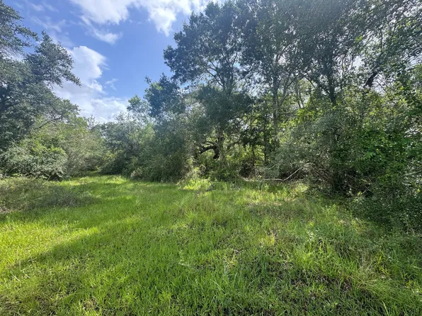 Dewberry Ln, Louise, TX 77455