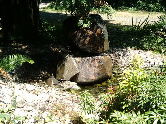 Fountain under seqouia