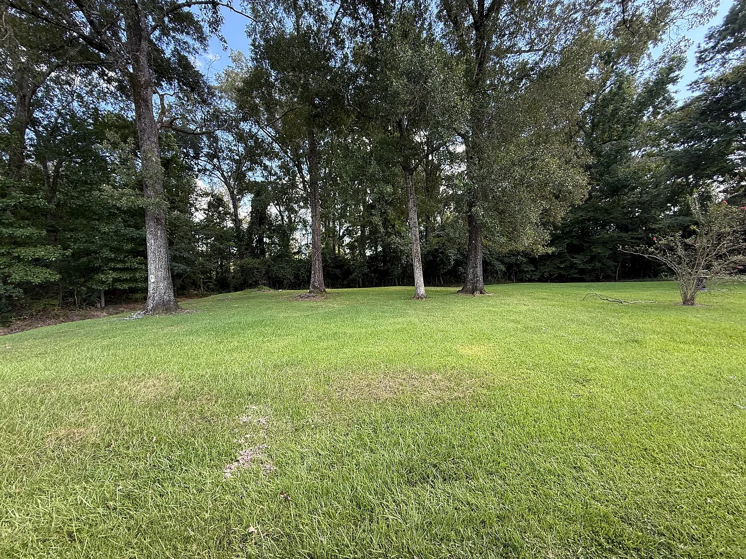 3 bed, 1.5 bath, 1300 sqft, $1,300 — Photo 2