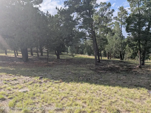 261 Deer Park Dr, Alto, NM 88312