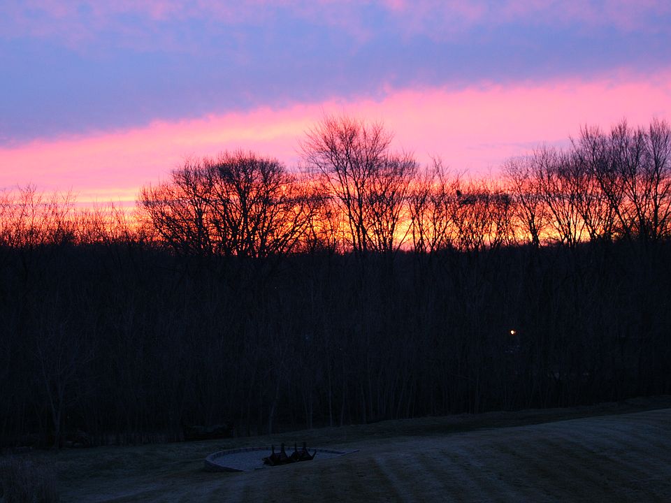 Morning view from deck