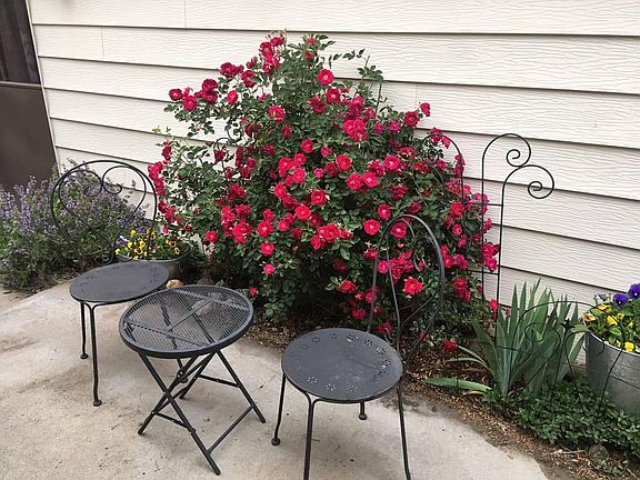 Garden areas to plant flowers or vegetables as desired. Space to sit and relax, cook out on the grill, etc.