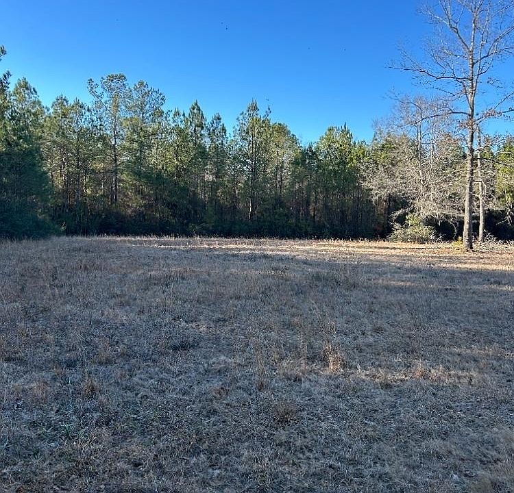 2nd image of 0 Buddy Lake Rd