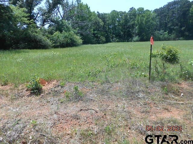 2nd image of LOT 5 County Road 217 E