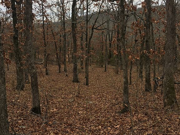 4th image of Rockwood Cir