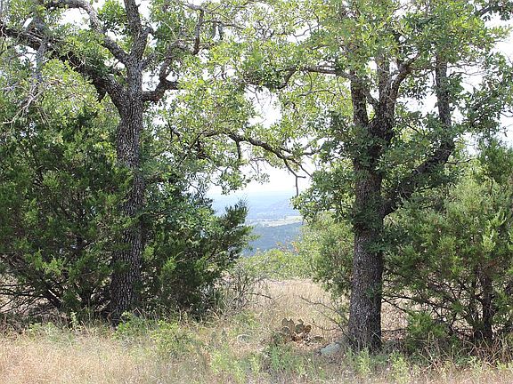 South View thru Trees