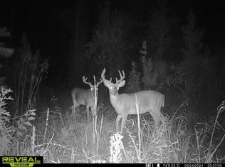 0 Olympia Lewis Rd, Mc Call Creek, MS 39647