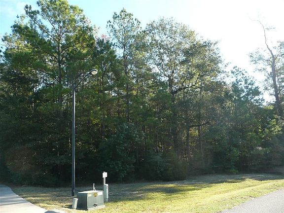 View looking from the front left side of the lot.