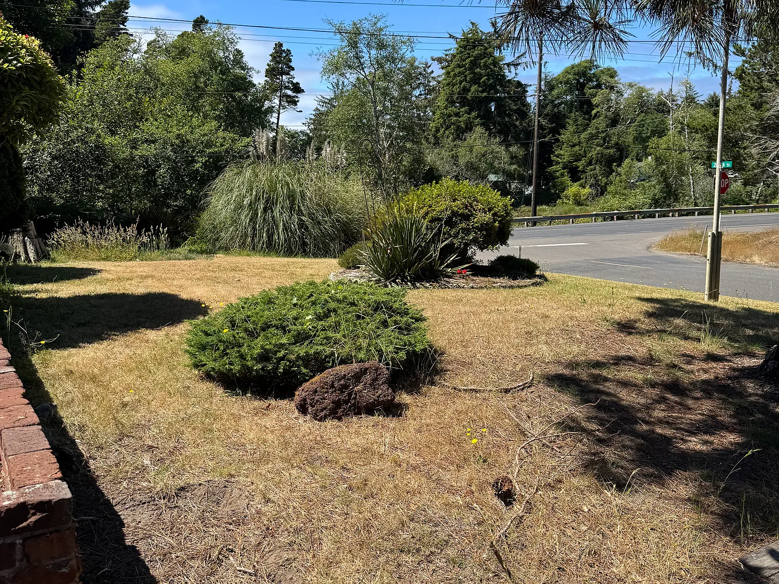 2 bed, 780 sqft, $1,640 — Photo 3