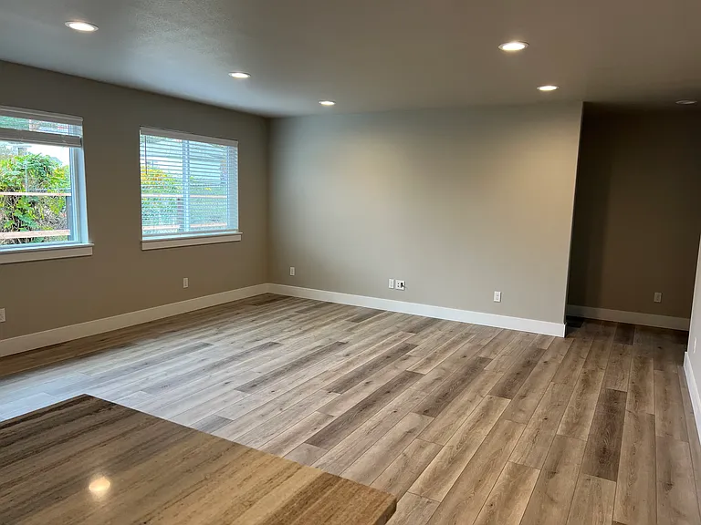 Living room from the kitchen view