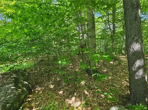 Summit Pl Lot 1, Old Forge, NY 13420