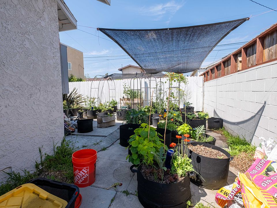 new photos-60_04182024