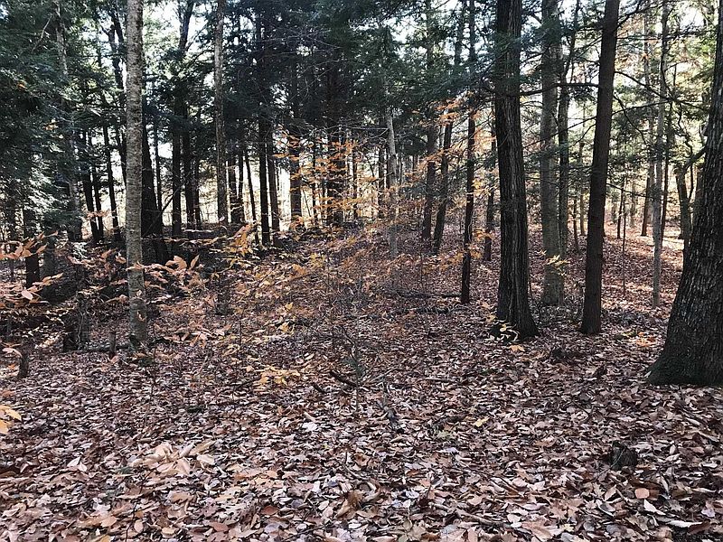 5th image of 69 Bills Road