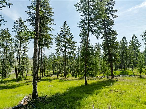 4th image of 534 Northern Larch Trl Lot 64