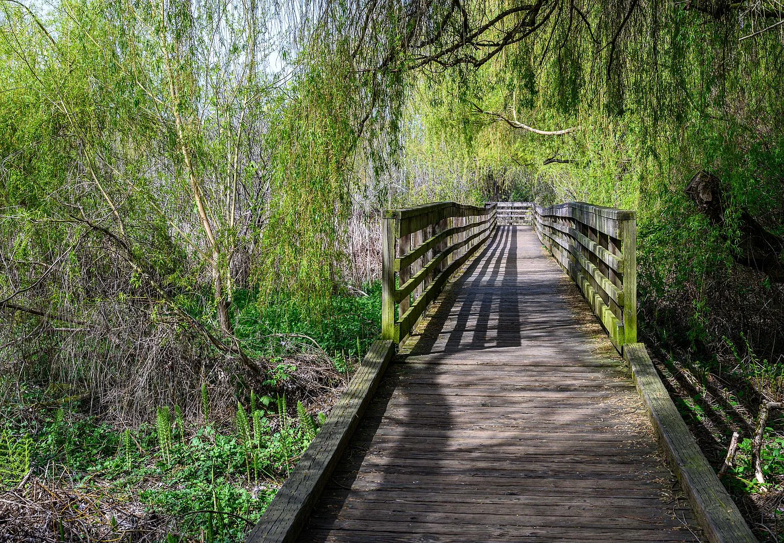 Juanita Creek — Photo 4