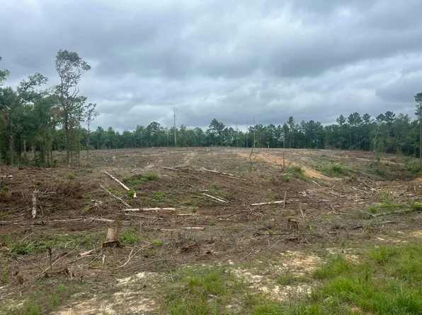North Ln, Columbia, MS 39429