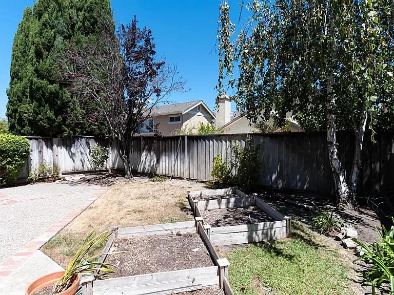 Backyard (view from side yard)