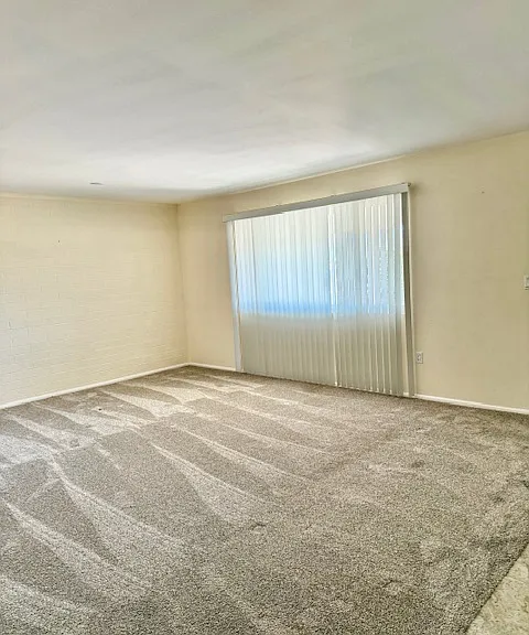 11801 N Coggins Dr — Photo 12