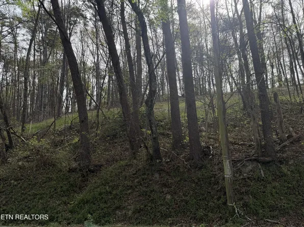 11044 Loop Rd, Soddy Daisy, TN 37379