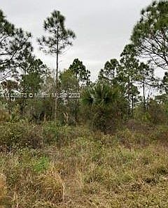 5th image of 520 SE Kennel St
