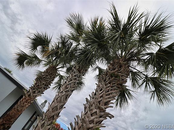 3rd image of 66 Sabal Cay Ct #66