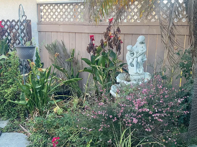 Galano Dr — Photo 10
