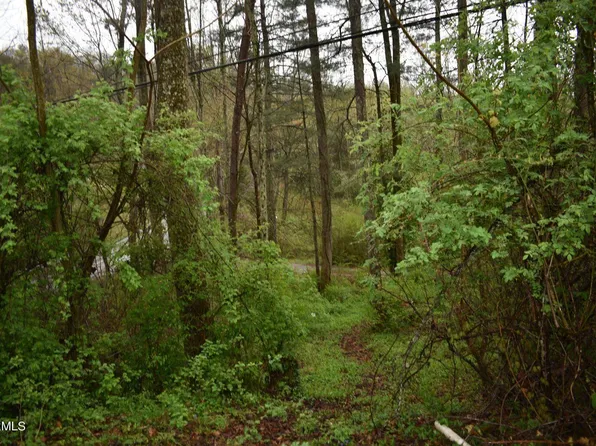 Buffalo Br, Pineville, KY 40977