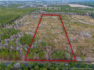 TRACT Two Well Line, Hawkinsville, GA 31036