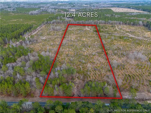 TRACT Two Well Line, Hawkinsville, GA 31036