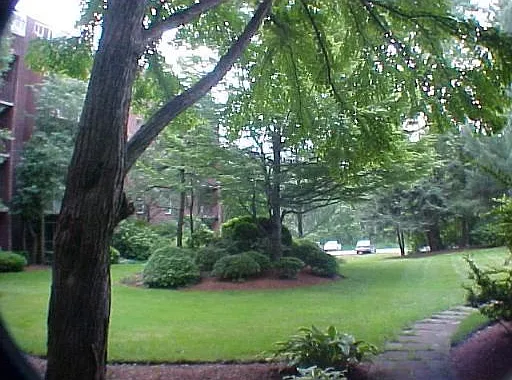 50 Broadlawn Park #410 — Photo 11