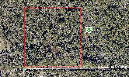 2nd image of 21546 Blazing Star Ln