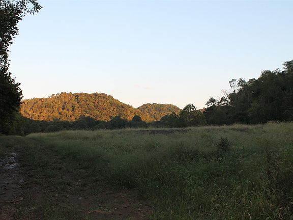 4th image of 250 Quarles Ln