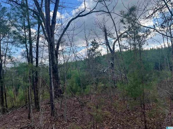 0 Old Woodstock Rd #0, West Blocton, AL 35184