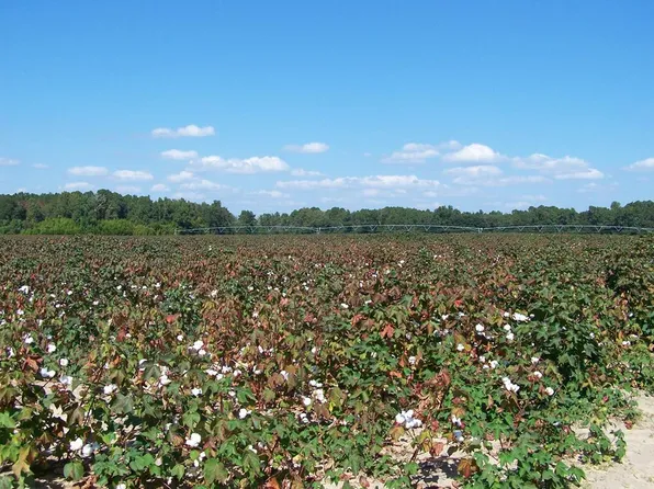 0 Tee Vee Rd #267, Santee, SC 29142