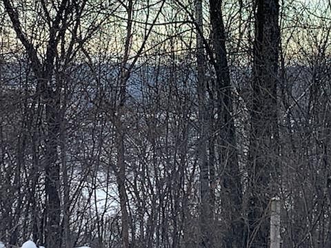 2nd image of 184 E Garvin Heights Rd
