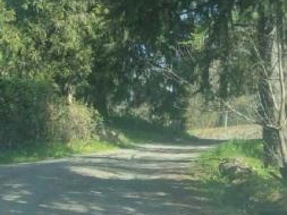 Exterior Neighborhood (street photo)
