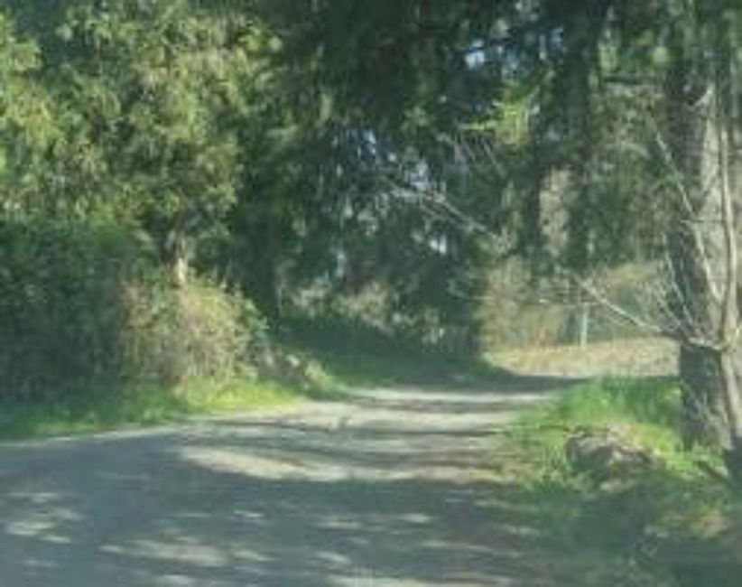 Exterior Neighborhood (street photo)