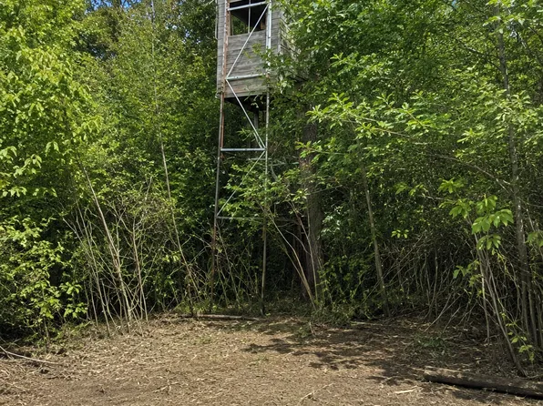 Chimney Rd, Nevis, MN 56467