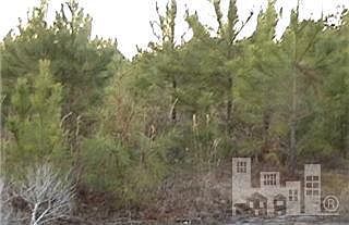 1st image of 0 Woodside Drive