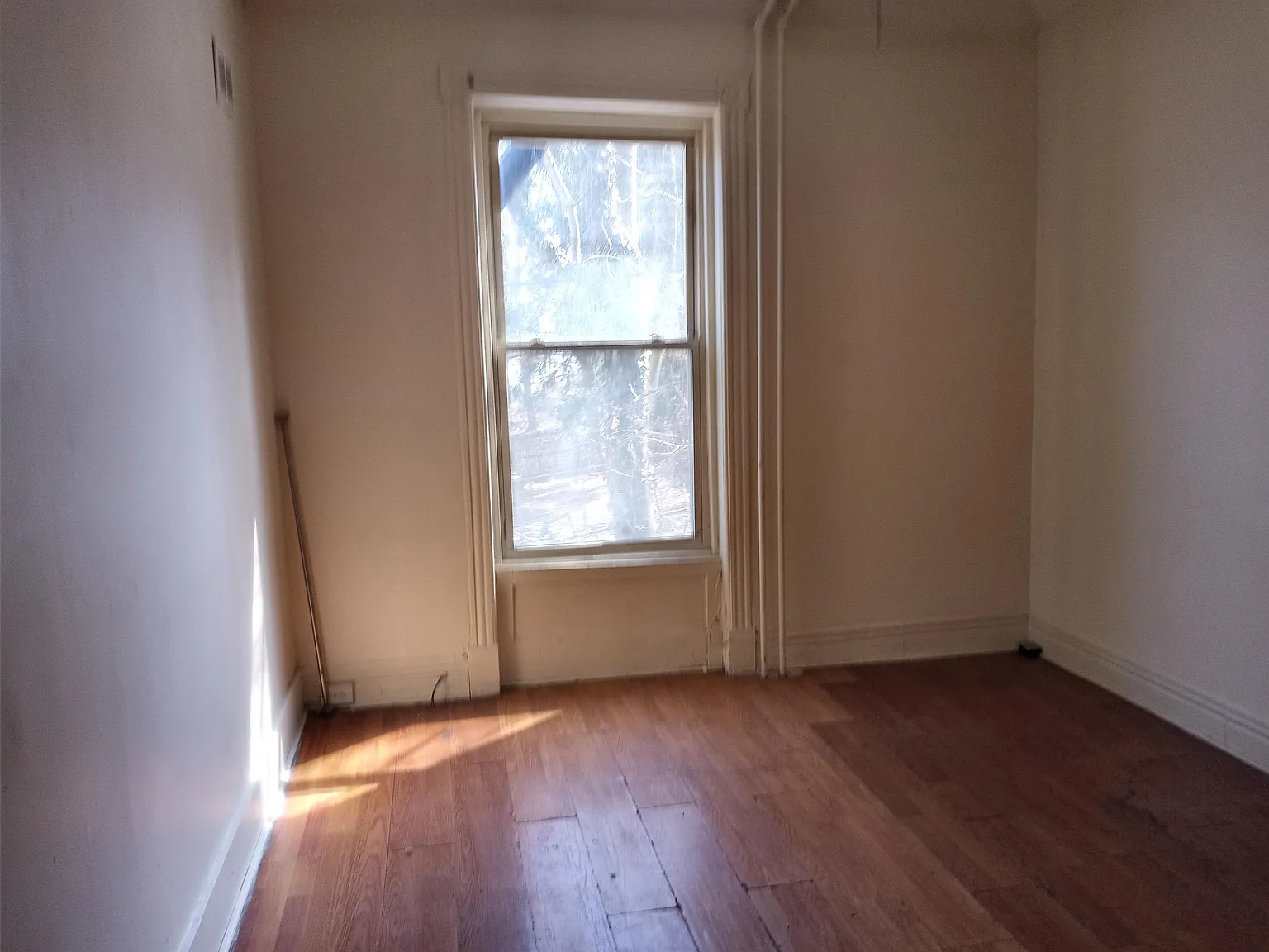 150 Lark St — Photo 4